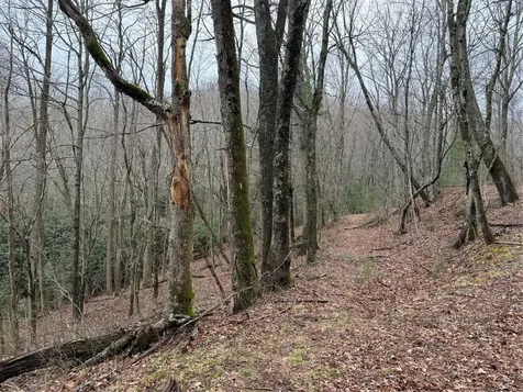 0 Robinson Creek Road Glenville NC 28736