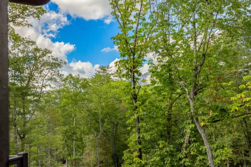 261 Rock Face Trail Highlands NC 28741