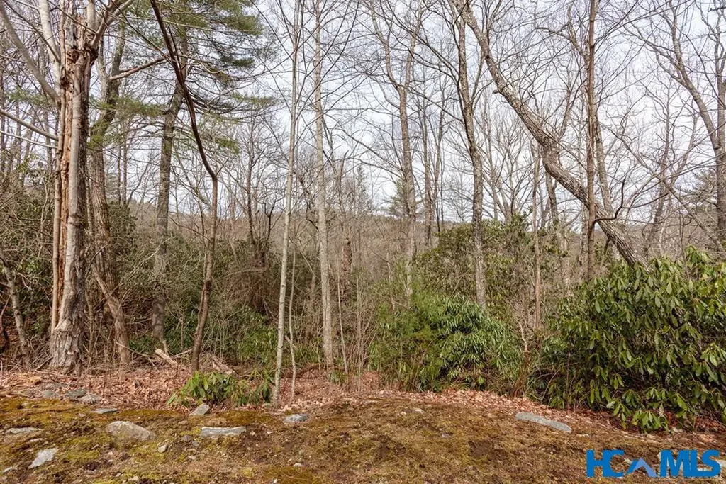 364 Cross Creek Trail Cullowhee NC 28723