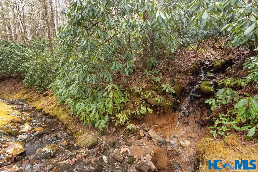 364 Cross Creek Trail Cullowhee NC 28723