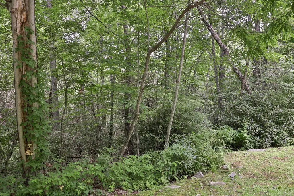 364 Cross Creek Trail Cullowhee NC 28723