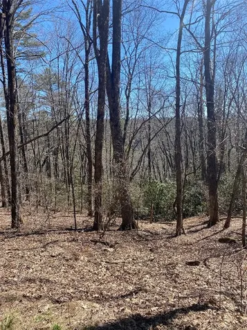 Tba View Point Road Highlands NC 28741