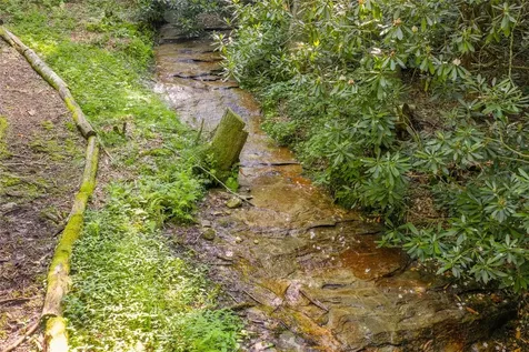 1034 E Rochester Drive Cashiers NC 28717