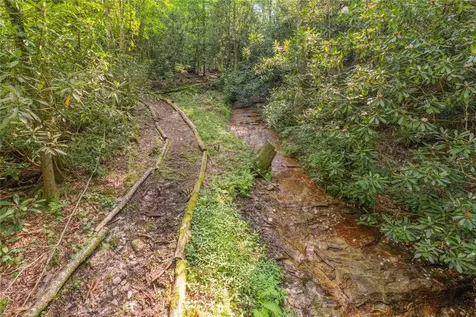 1034 E Rochester Drive Cashiers NC 28717