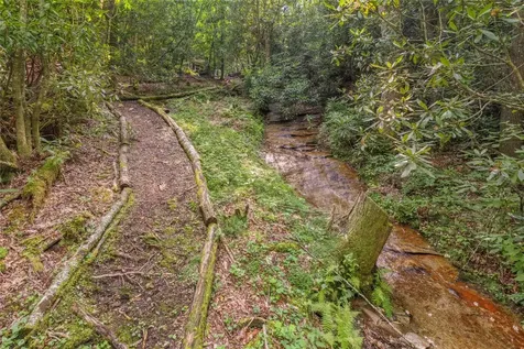 1034 E Rochester Drive Cashiers NC 28717