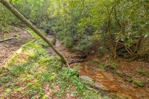 1034 E Rochester Drive Cashiers NC 28717