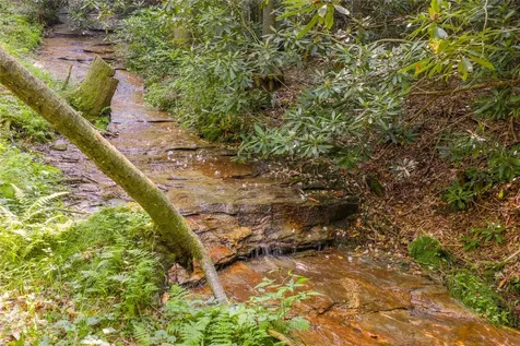 1034 E Rochester Drive Cashiers NC 28717