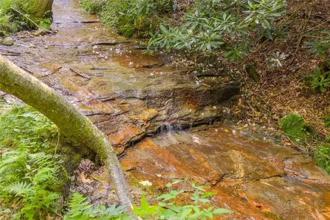 1034 E Rochester Drive Cashiers NC 28717