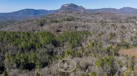 120 Wildflower Drive Cashiers NC 28717