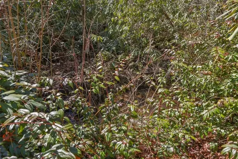 120 Wildflower Drive Cashiers NC 28717