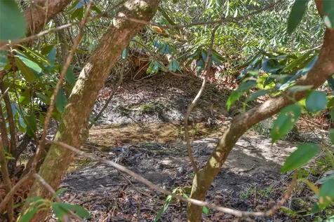 120 Wildflower Drive Cashiers NC 28717