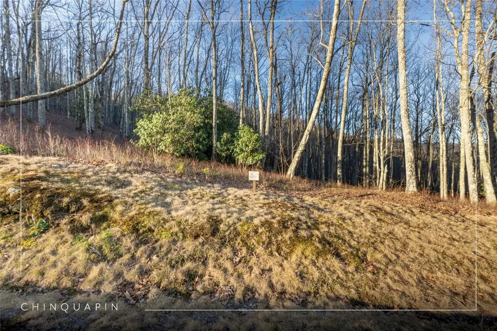 Lot E7 New Settler's Way Glenville NC 28736