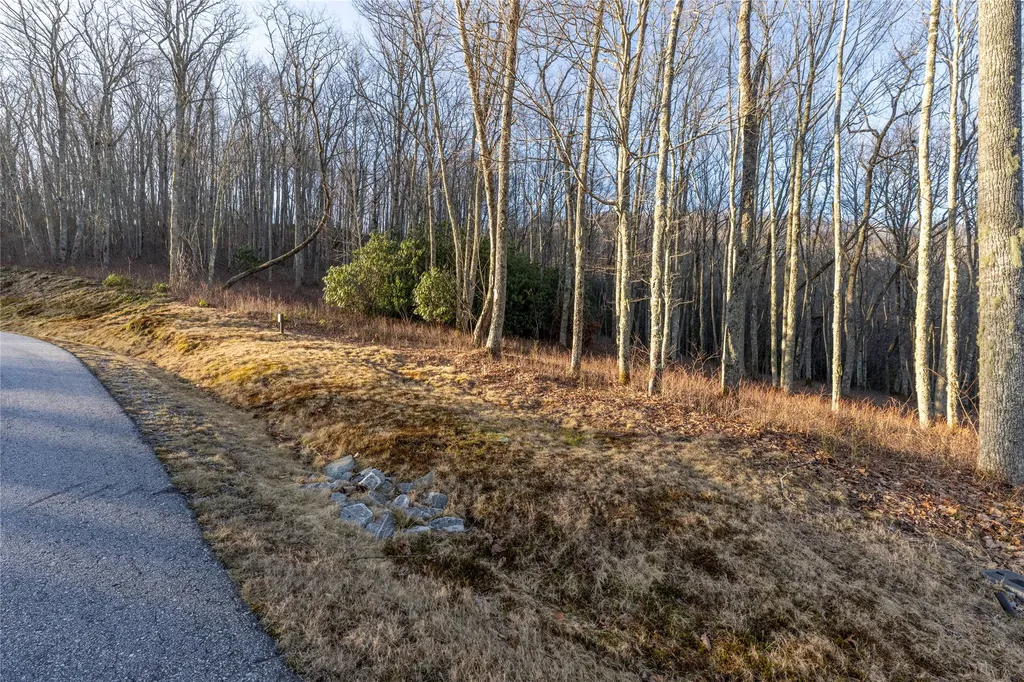 Lot E7 New Settler's Way Glenville NC 28736