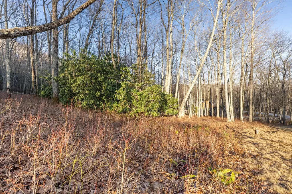 Lot E7 New Settler's Way Glenville NC 28736