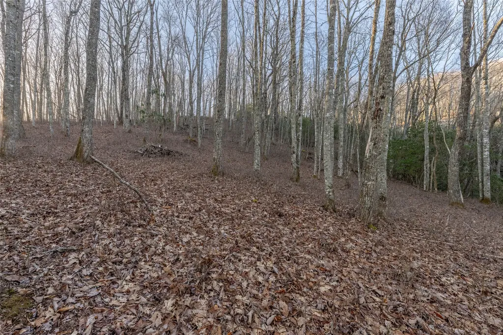 Lot E7 New Settler's Way Glenville NC 28736