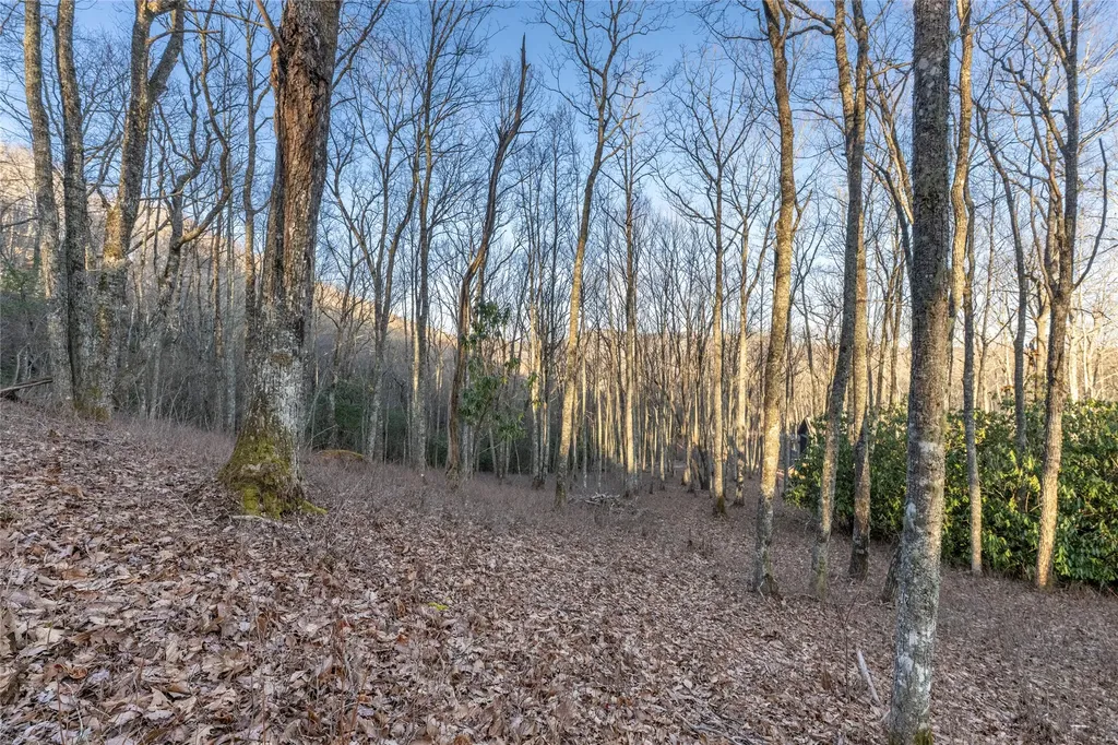 Lot E7 New Settler's Way Glenville NC 28736