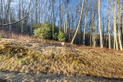 Lot E7 New Settler's Way Glenville NC 28736