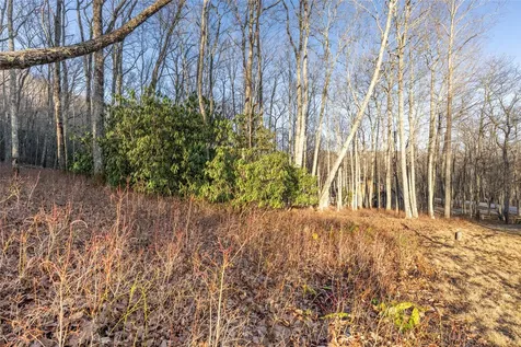 Lot E7 New Settler's Way Glenville NC 28736