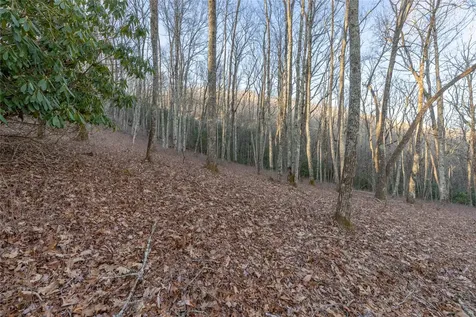 Lot E7 New Settler's Way Glenville NC 28736