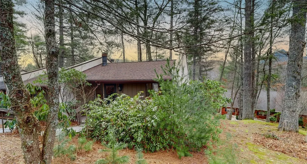 117 Holly Ridge Sapphire NC 28774