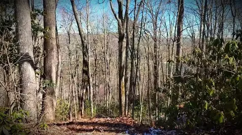 Lot 20 Bright Mountain Road Cullowhee NC 28723