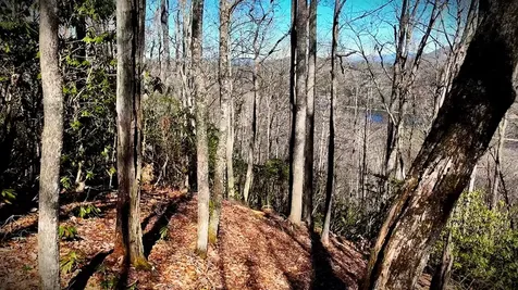 Lot 20 Bright Mountain Road Cullowhee NC 28723