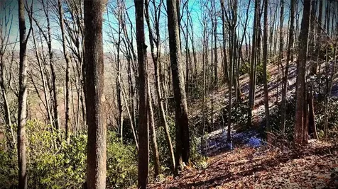 Lot 20 Bright Mountain Road Cullowhee NC 28723