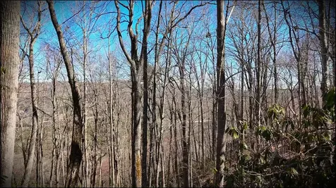 Lot 20 Bright Mountain Road Cullowhee NC 28723