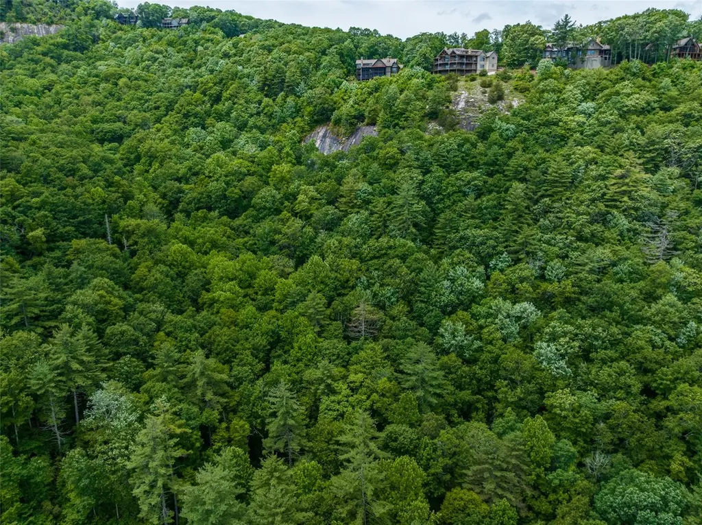 1 Judgement Way Sapphire NC 28774