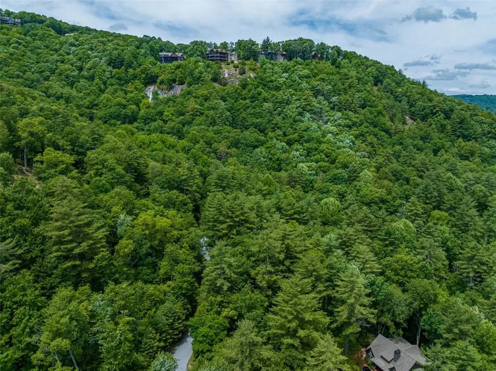 1 Judgement Way Sapphire NC 28774