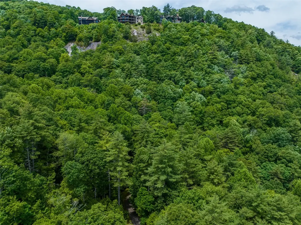 1 Judgement Way Sapphire NC 28774