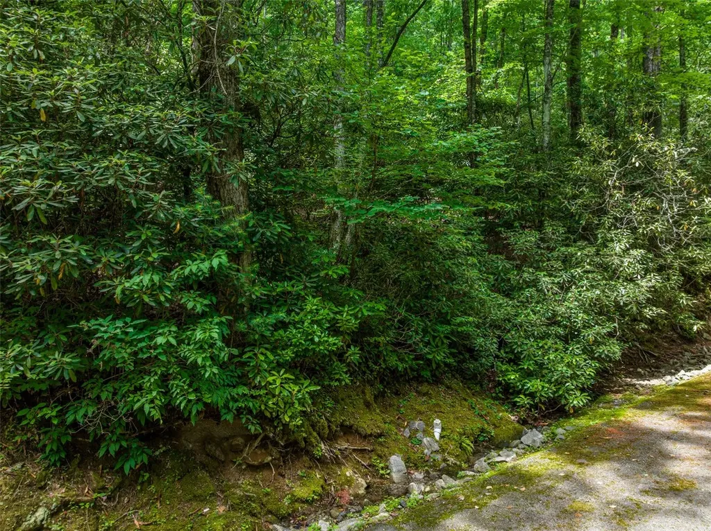 1 Judgement Way Sapphire NC 28774