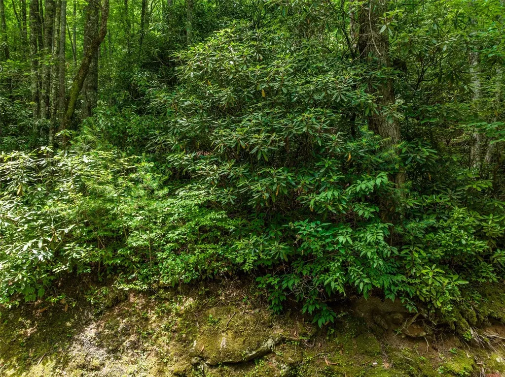 1 Judgement Way Sapphire NC 28774