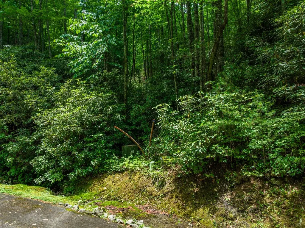 1 Judgement Way Sapphire NC 28774