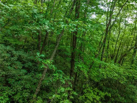 1 Judgement Way Sapphire NC 28774