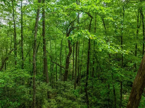 1 Judgement Way Sapphire NC 28774