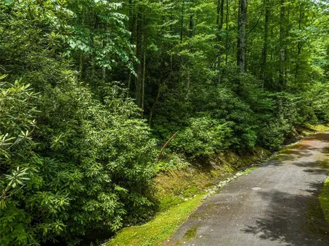 1 Judgement Way Sapphire NC 28774