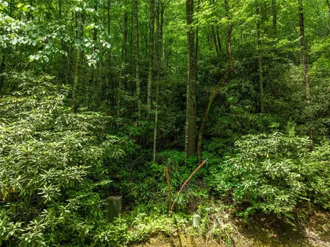 1 Judgement Way Sapphire NC 28774