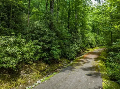 1 Judgement Way Sapphire NC 28774