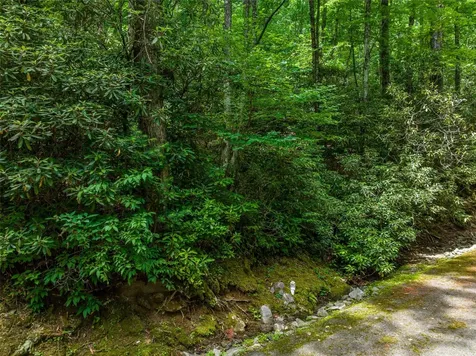 1 Judgement Way Sapphire NC 28774