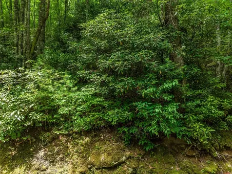 1 Judgement Way Sapphire NC 28774