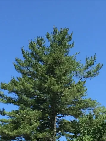 0 Dillard Road Highlands NC 28741