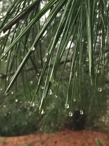 0 Dillard Road Highlands NC 28741