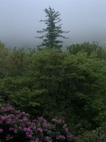 0 Dillard Road Highlands NC 28741