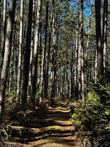 0 Dillard Road Highlands NC 28741