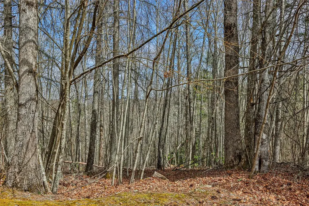 124 Compass Rose Way Cullowhee NC 28723