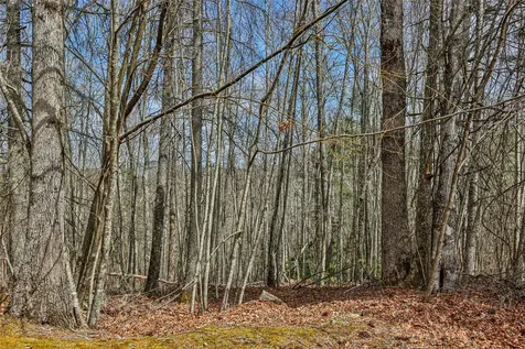 124 Compass Rose Way Cullowhee NC 28723