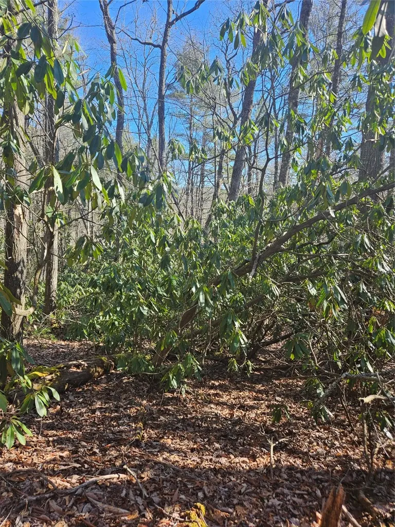 5 Ruffed Grouse Road Cashiers NC 28717