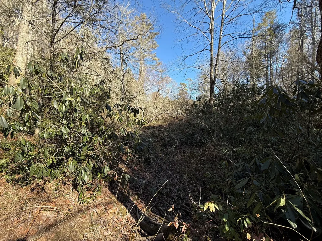 0 North Norton Cashiers NC 28717