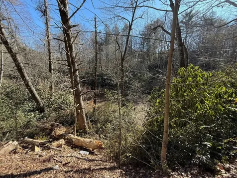 0 North Norton Road Cashiers NC 28717